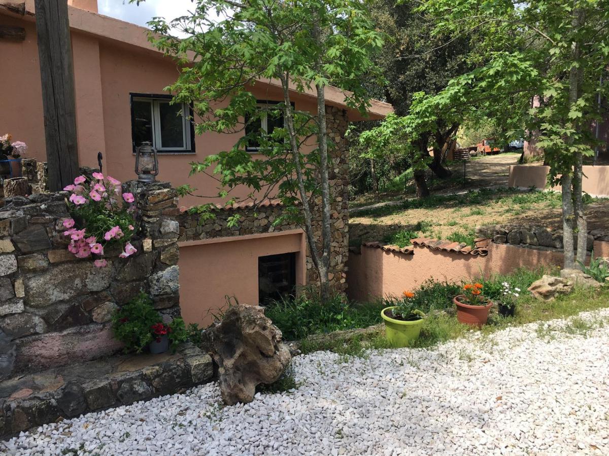 Azienda Agrituristica S'Argalasi - B&B - Affittacamere Loc S'Argalasi Austis Exterior photo
