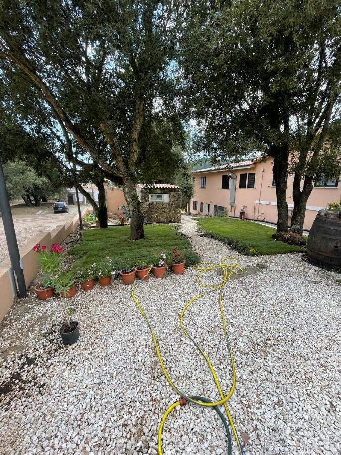 Azienda Agrituristica S'Argalasi - B&B - Affittacamere Loc S'Argalasi Austis Exterior photo